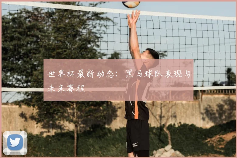 世界杯最新动态:黑马球队表现与未来赛程
